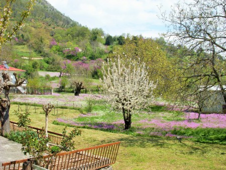ΑΝΟΙΞΗ ΣΤΗ ΠΟΡΤΗ